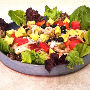 Read more about the article Garden Salad With Grilled Chicken